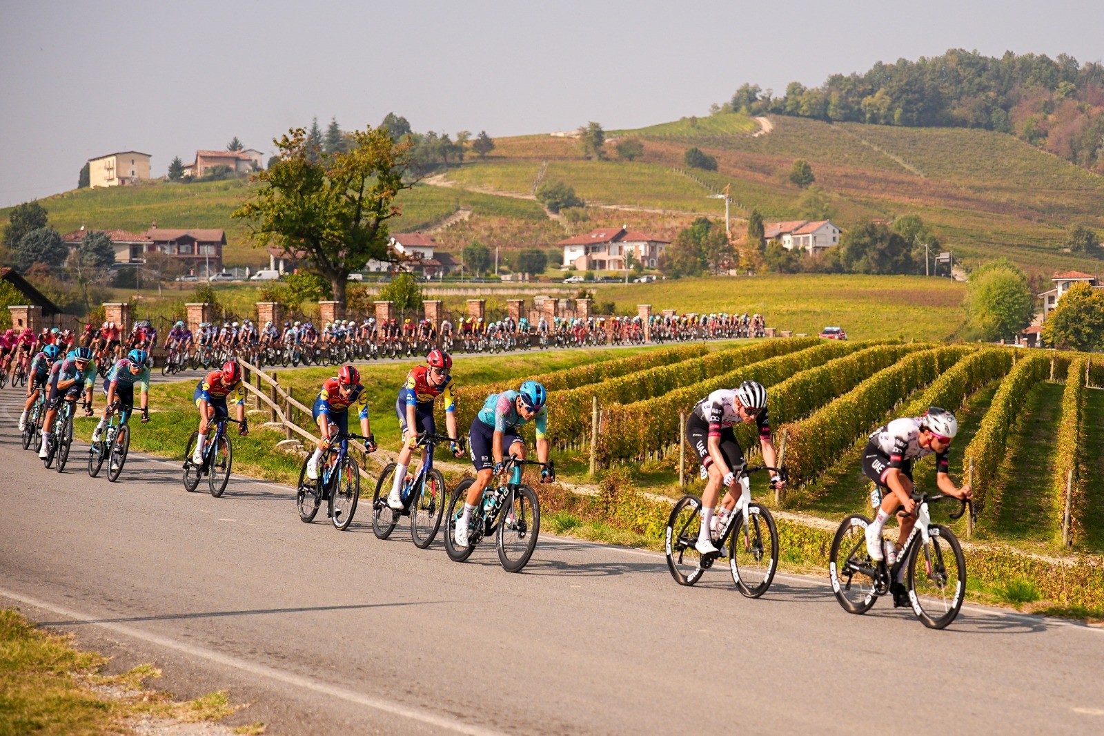 IL PINOT GRIGIO DOC DELLE VENEZIE È OFFICIAL WINE DEL GIRO D’ITALIA 2026